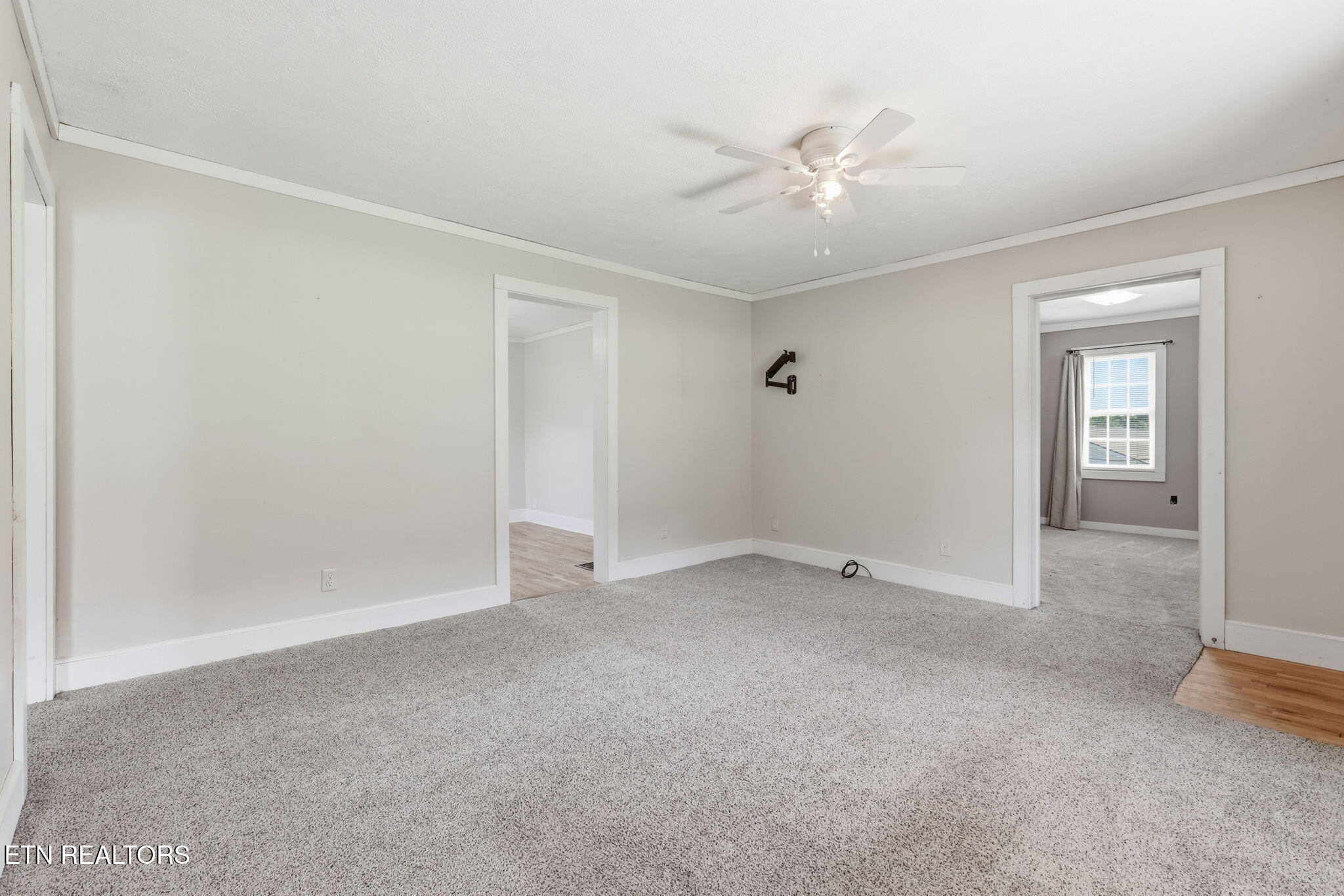 415 Island Ford Road Jacksboro, TN 37757 - Photo 10 of 39 26-web-or-mls-3F1A5035