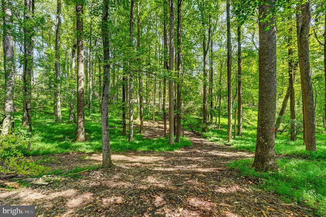 a view of outdoor space and trees