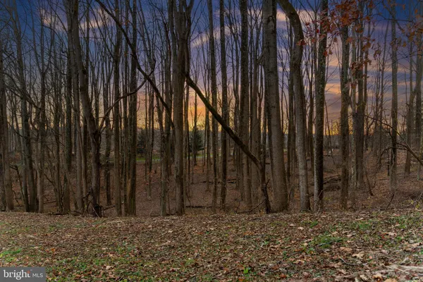 a view of outdoor space and trees