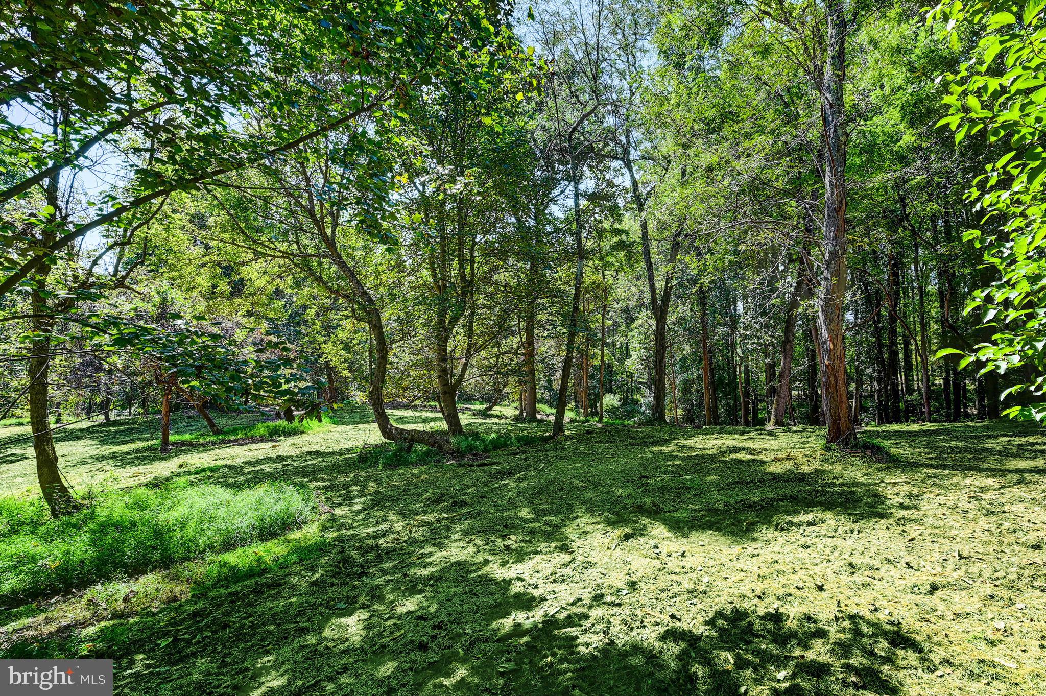 14498 Western Road Cockeysville, MD 21030 - Photo 19 of 27 a big yard with lots of green space and deers