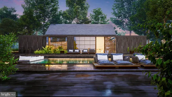 a view of lots of trees