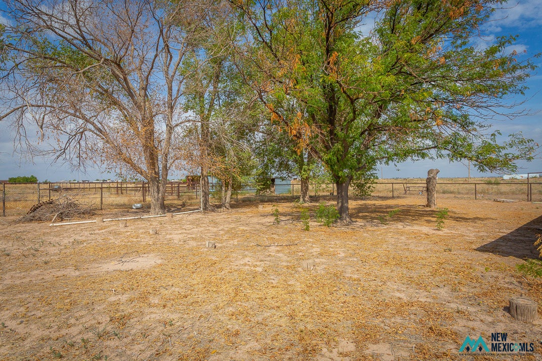 1 Burns Road Dexter, NM 88230 - Photo 43 of 48 Gallery Image 43
