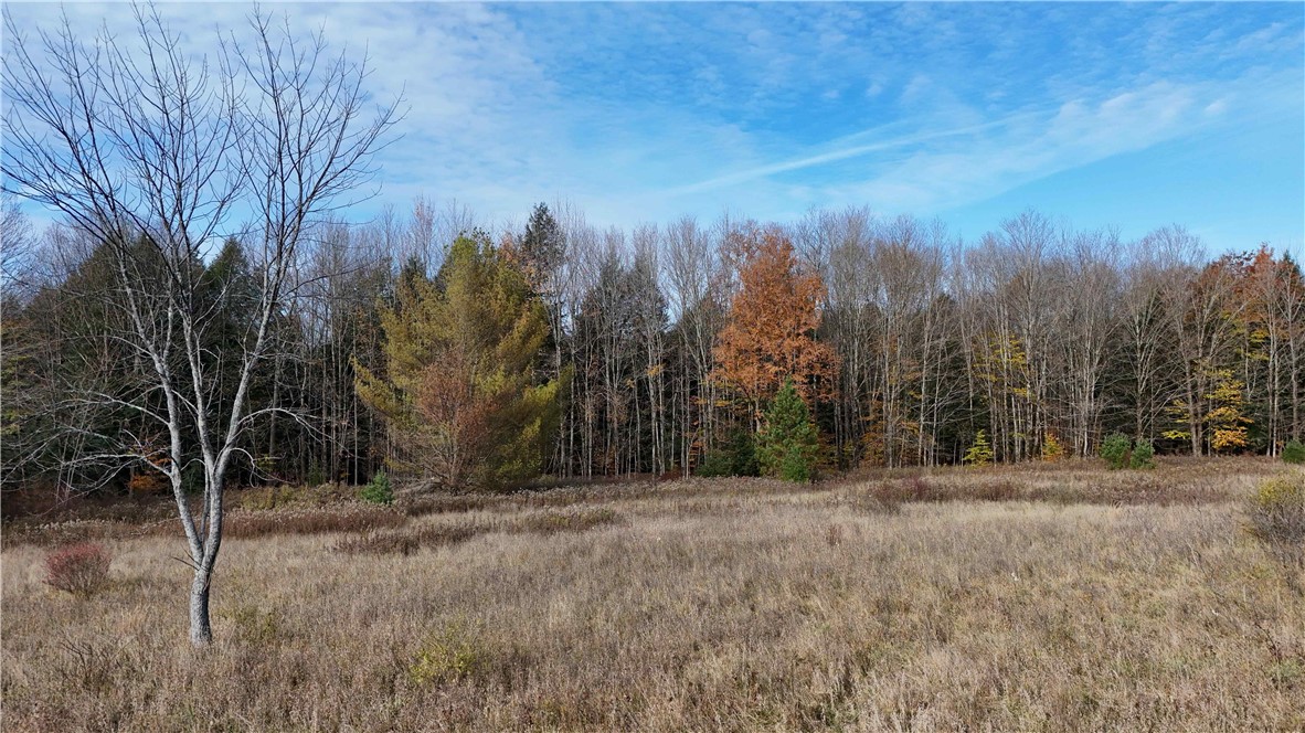 199 White Road Parish, NY 13131 - Photo 23 of 27