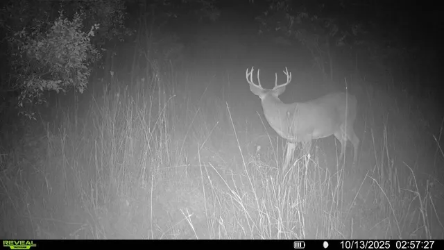 $379,900 | 5760 Sunfish Lake Avenue Northeast, Rockford, MI 49341