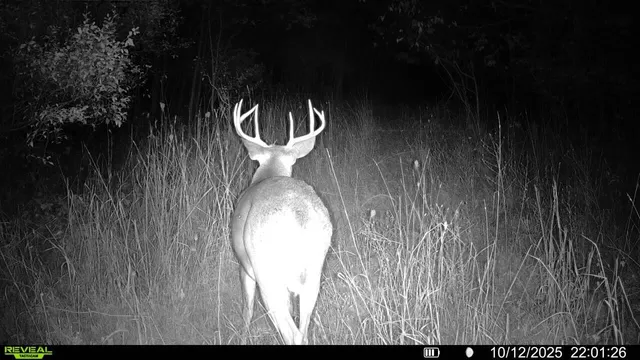 $379,900 | 5760 Sunfish Lake Avenue Northeast, Rockford, MI 49341