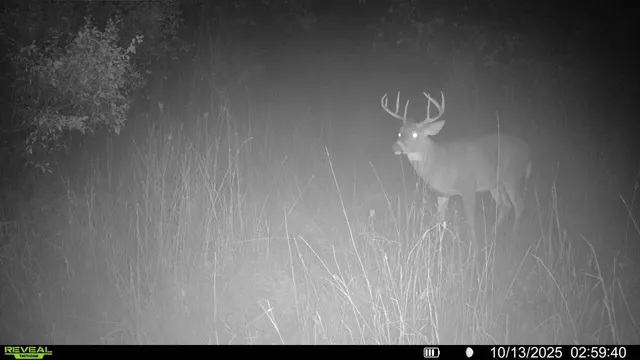 $379,900 | 5760 Sunfish Lake Avenue Northeast, Rockford, MI 49341