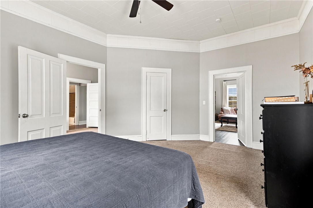 7 McCaughrin Street Pelzer, SC 29669 - Photo 12 of 24 A spacious bedroom features multiple doorways leading to other rooms, with plush carpeting and elegant crown molding.