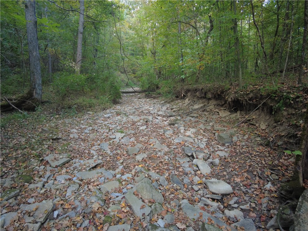1147 Richey Road Felicity, OH 45120 - Photo 24 of 26 A tranquil wooded path invites exploration through a natural landscape.