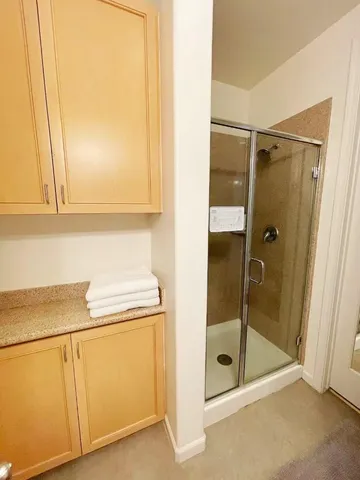 a bathroom with a shower and vanity