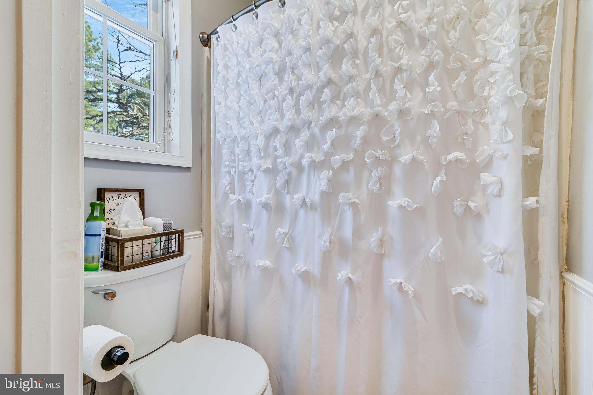 14855 King Charles Drive Issue, MD 20645 - Photo 44 of 49 bathroom 3 w/privacy