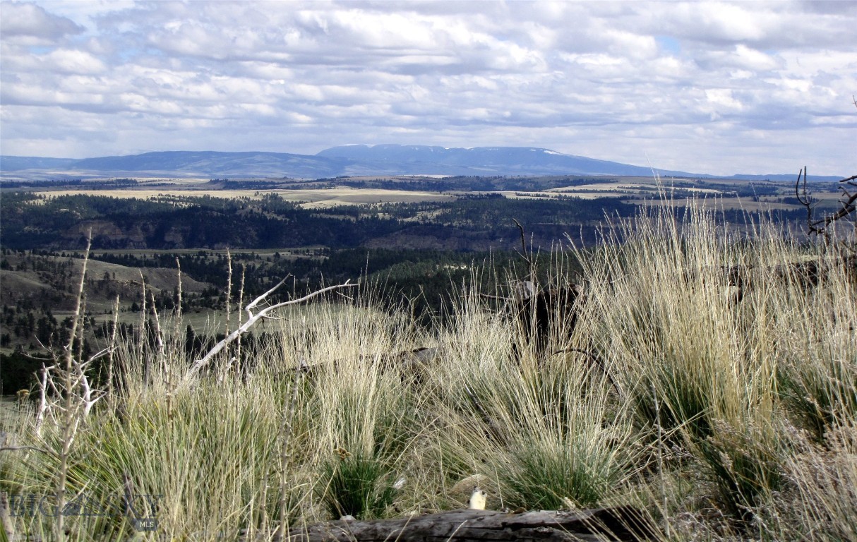 Tbd Tbd Wild Turkey Ridge Road Columbus, MT 59019 - Photo 39 of 55 Gallery Image 39
