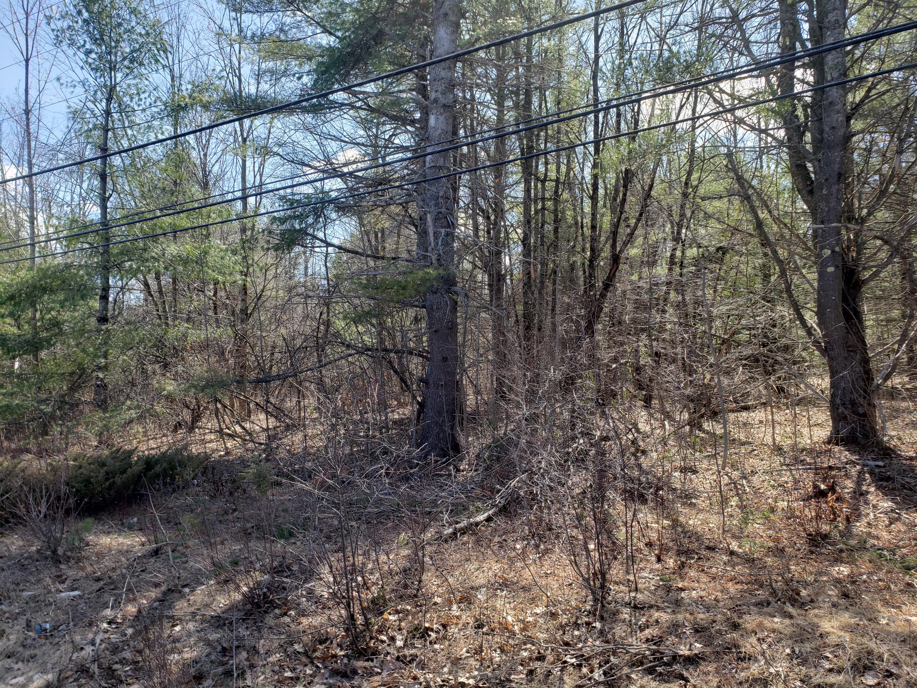 Lot 41-cdef Lot 41-cdef China Road Winslow, ME 04901 - Photo 6 of 17 41-D 1