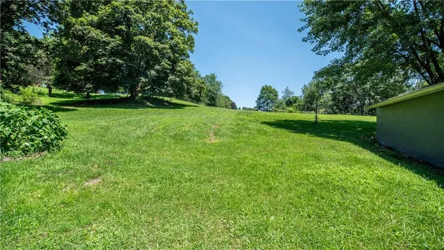 a view of green field with trees in the background