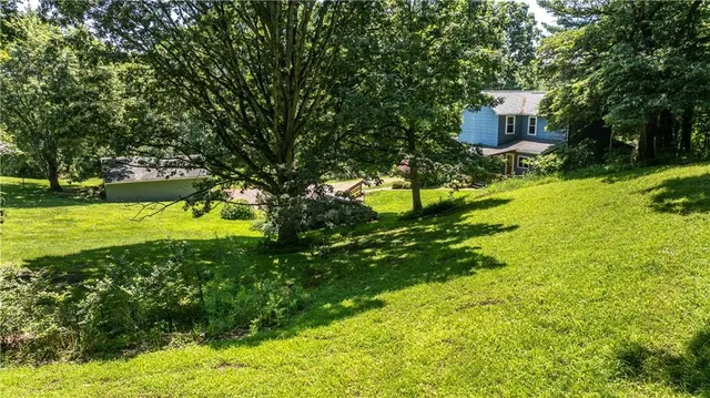 a view of a big yard with large trees