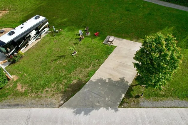 a view of a garden with plants