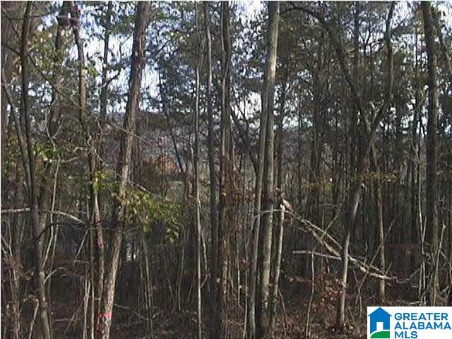 Autumn View Drive Sterrett, AL 35147 - Photo 5 of 5