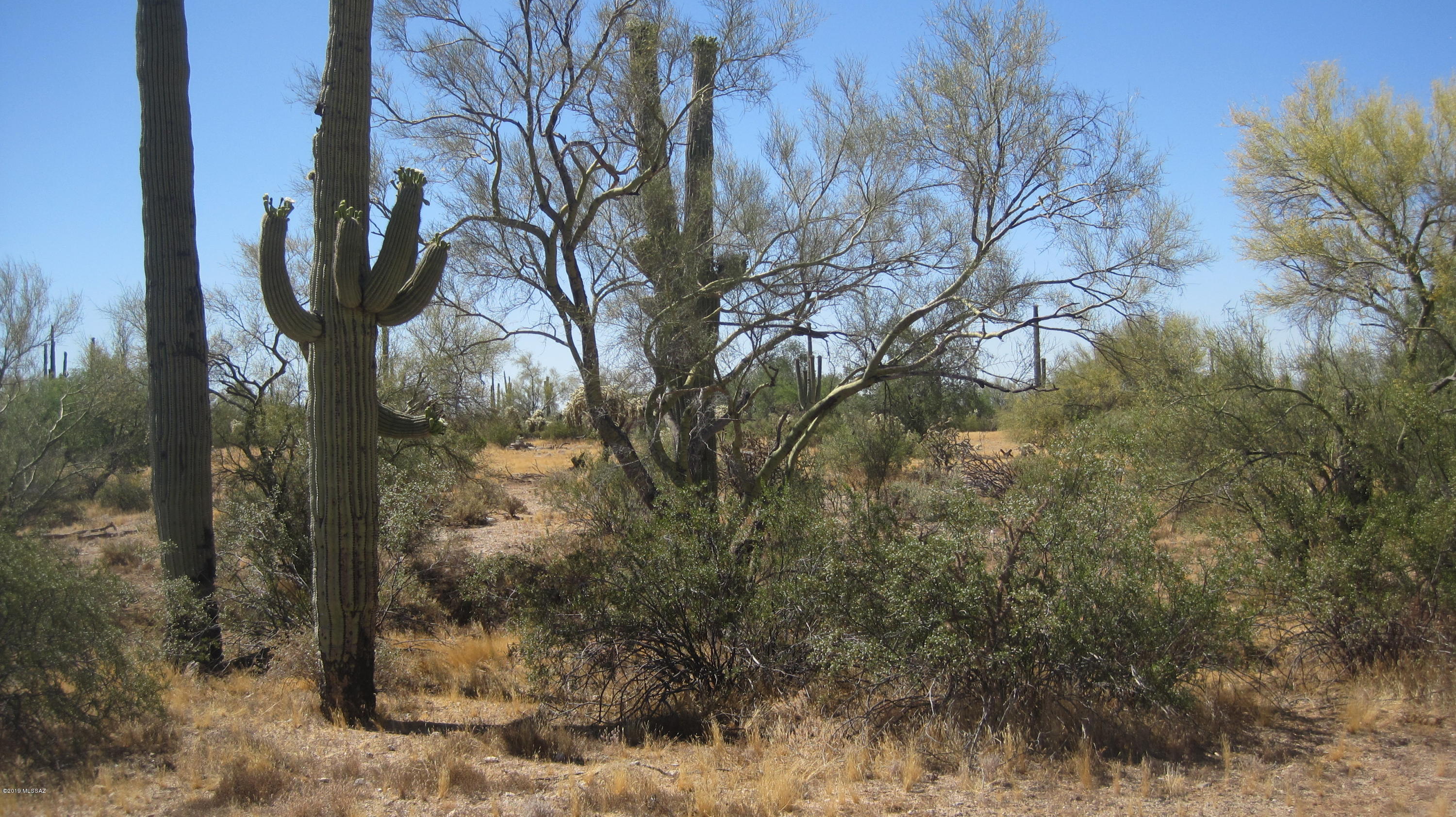 Oo South Cattle Tank Road, Unit 7 5 AC Marana, AZ 85658 - Photo 9 of 22