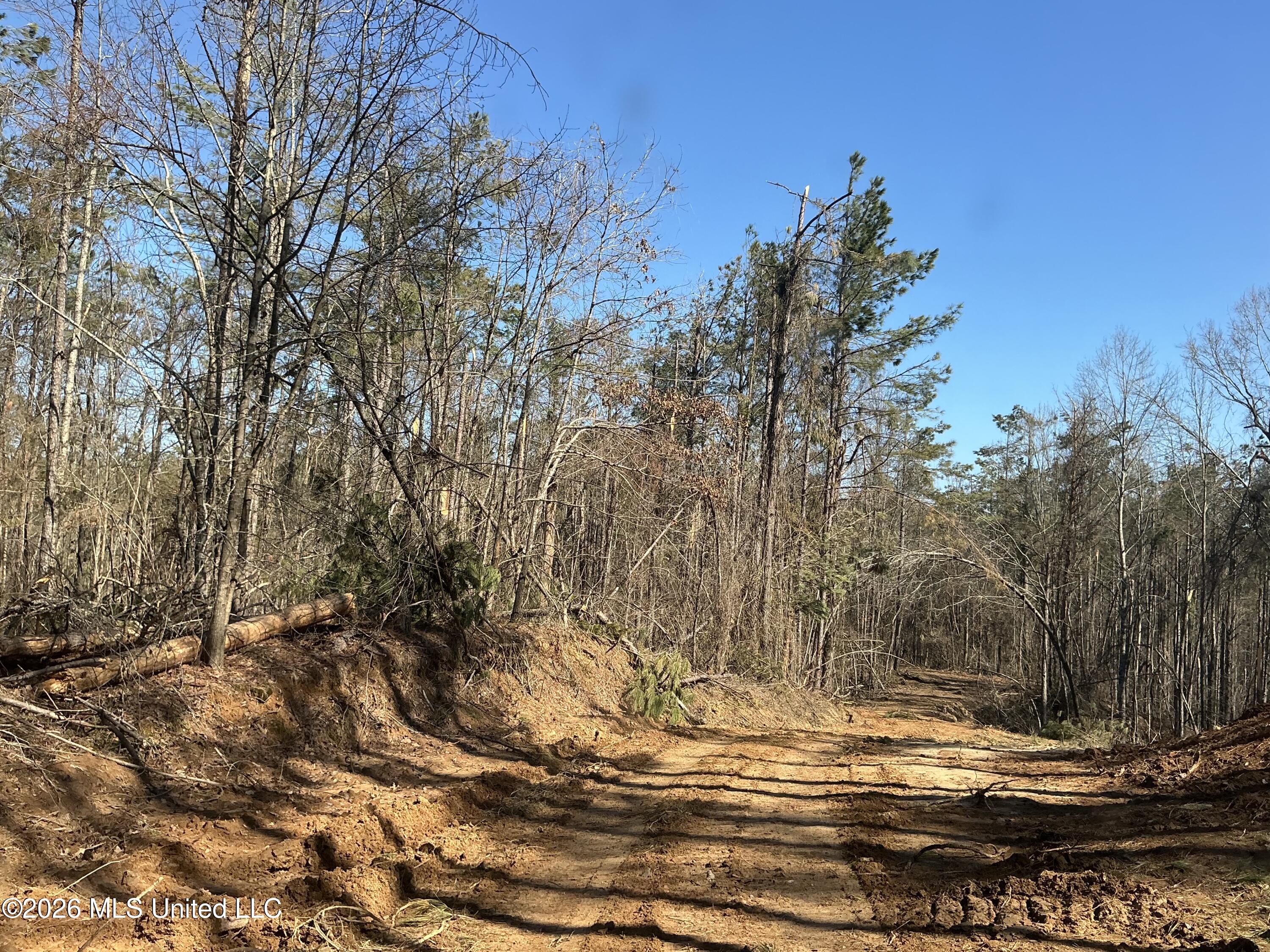 Norwood Road Carrollton, MS 38917 - Photo 12 of 28 IMG_0667