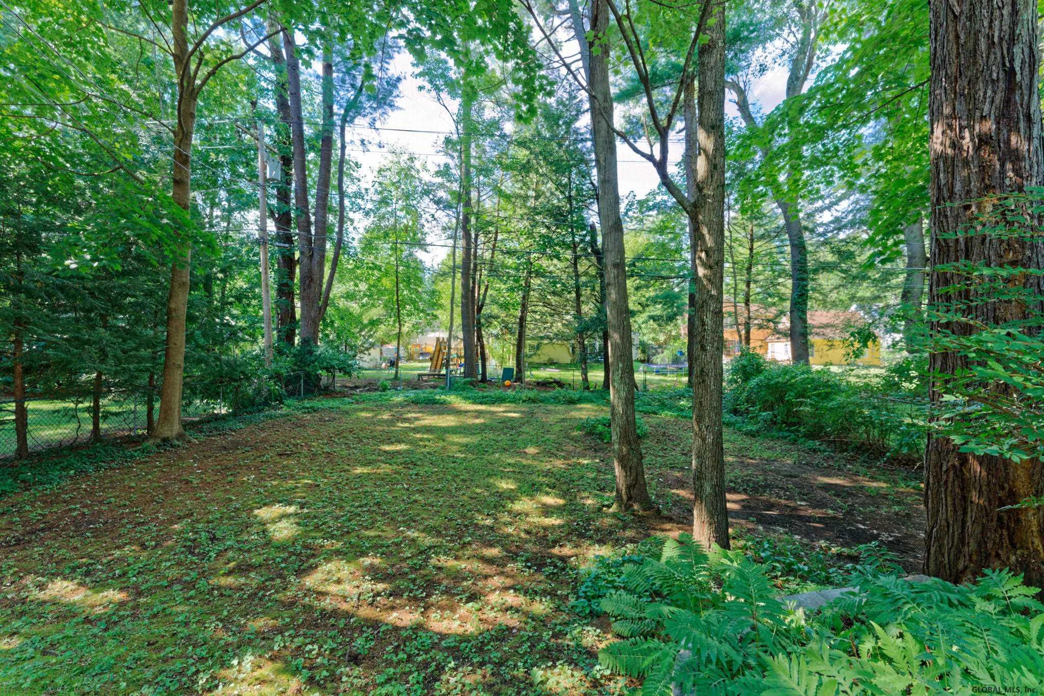 35 Douglas Road Bethlehem, NY 12054 - Photo 33 of 38 Photo 34