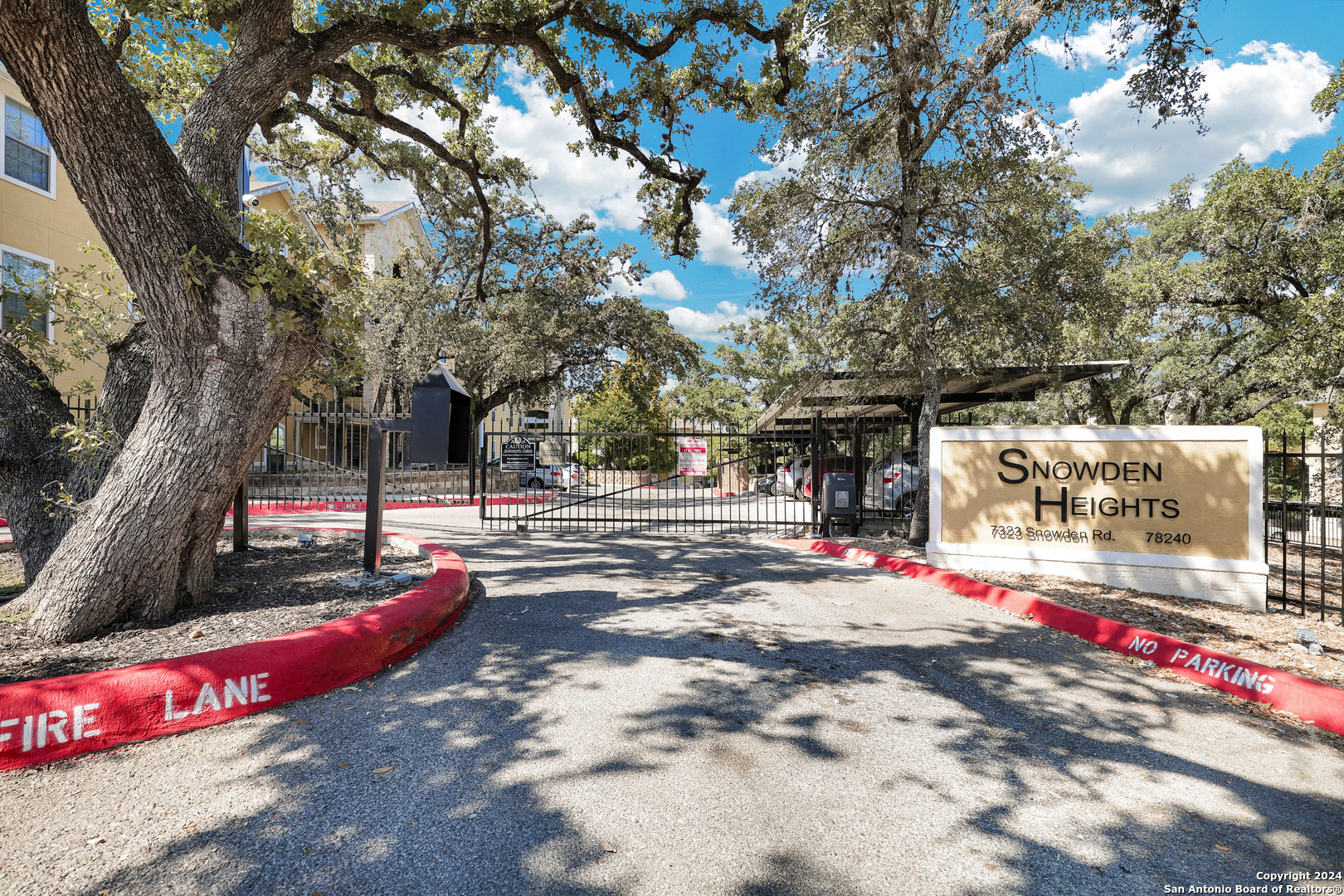 a view of street with large trees