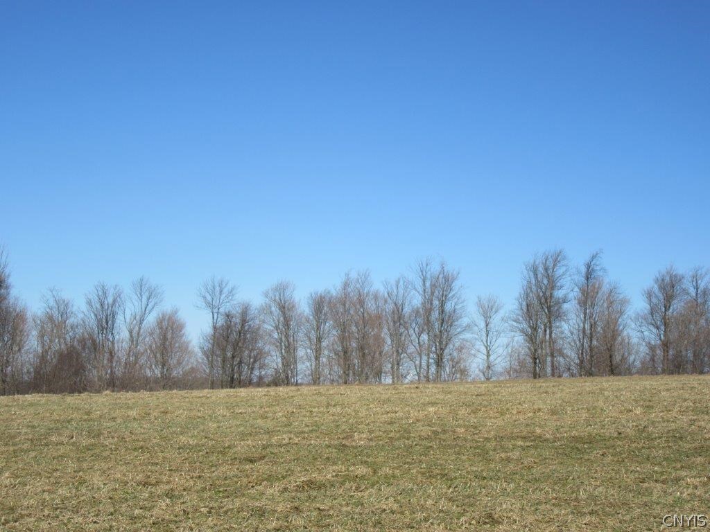 0 Larkin Road Hubbardsville, NY 13355 - Photo 26 of 35