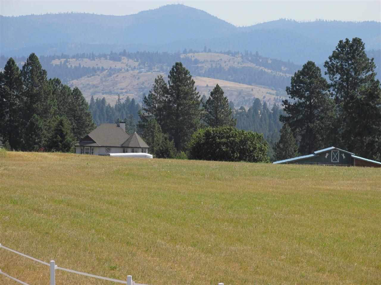 3807 South Chapman Road Greenacres, WA 99016 - Photo 2 of 20