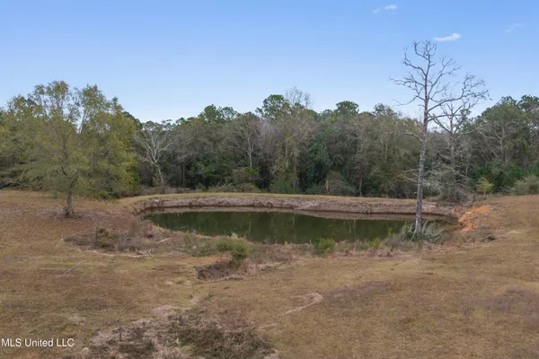 $615,000 | 92 Sam Davis Drive, Perkinston, MS 39573