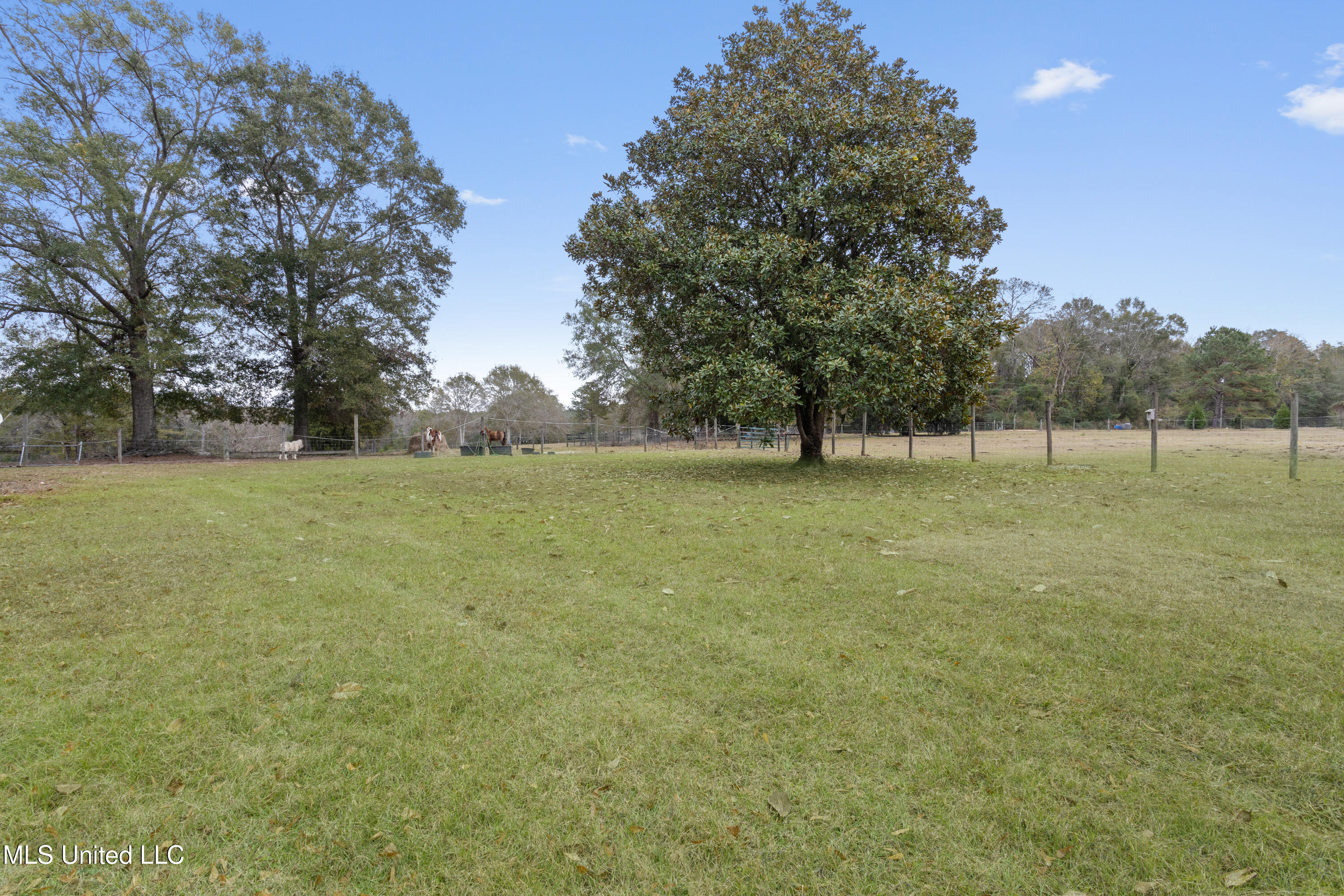 92 Sam Davis Drive Perkinston, MS 39573 - Photo 64 of 87 Pasture