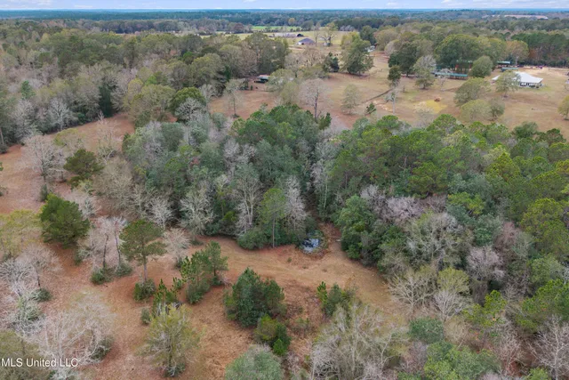 $615,000 | 92 Sam Davis Drive, Perkinston, MS 39573