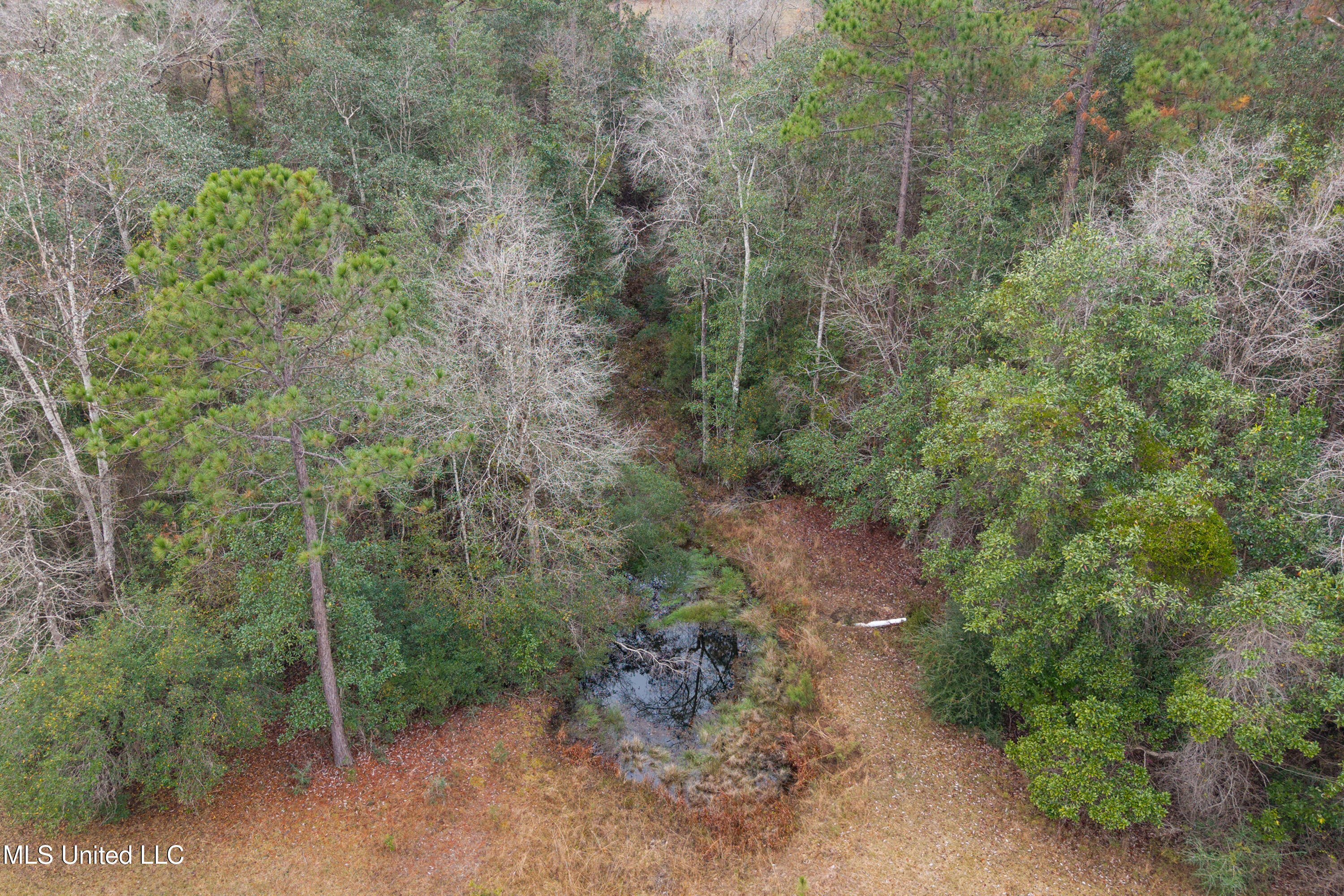 92 Sam Davis Drive Perkinston, MS 39573 - Photo 80 of 87 92 Sam Davis Dr