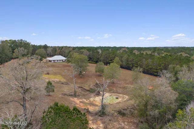 $615,000 | 92 Sam Davis Drive, Perkinston, MS 39573