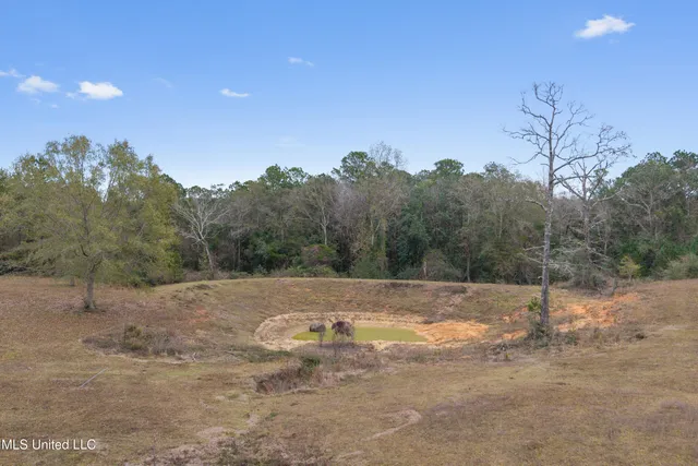 $615,000 | 92 Sam Davis Drive, Perkinston, MS 39573