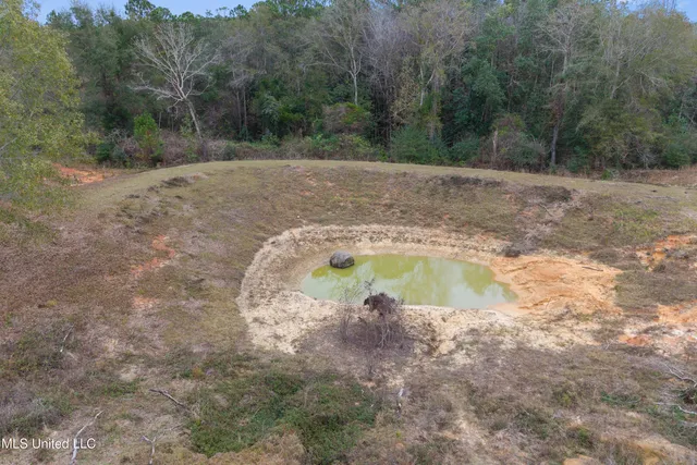 $615,000 | 92 Sam Davis Drive, Perkinston, MS 39573