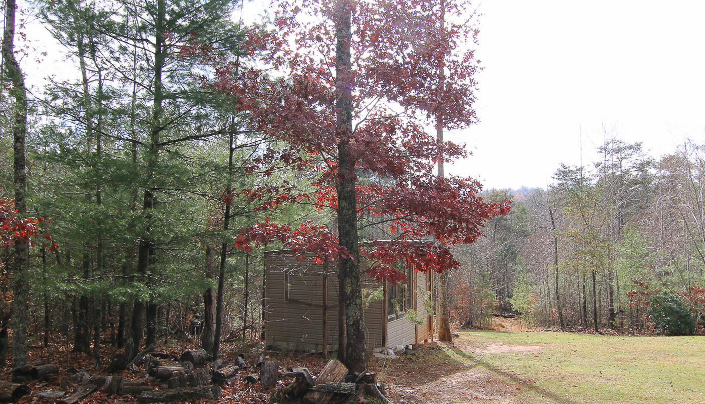 860 Beech Mountain Road Ferrum, VA 24088 - Photo 40 of 48 a view of a forest filled with trees
