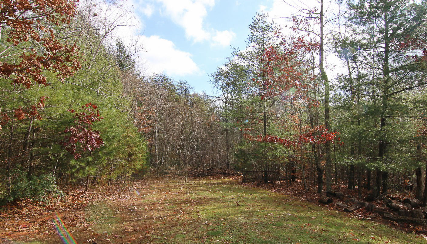860 Beech Mountain Road Ferrum, VA 24088 - Photo 41 of 48 a backyard of a house with lots of green space
