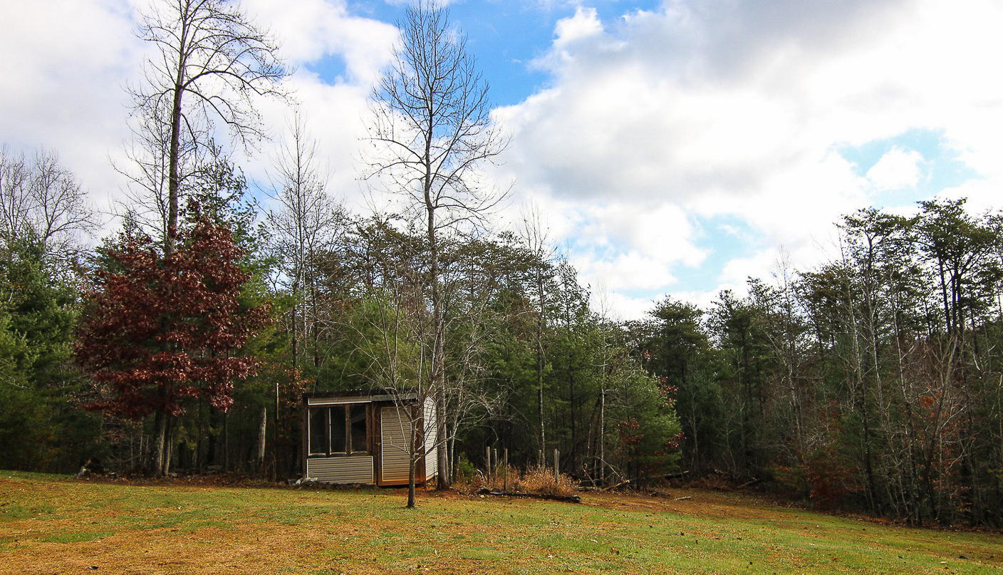 860 Beech Mountain Road Ferrum, VA 24088 - Photo 45 of 48 a backyard of a house with large trees