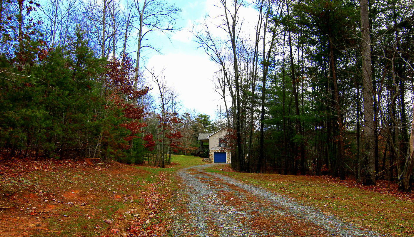 860 Beech Mountain Road Ferrum, VA 24088 - Photo 4 of 48 a view of road with trees