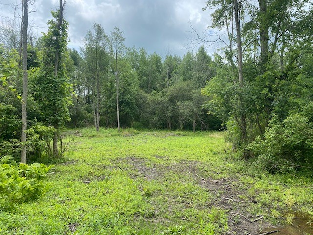 5879 Buffalo Road Riga, NY 14428 - Photo 1 of 1 Gallery Image 1