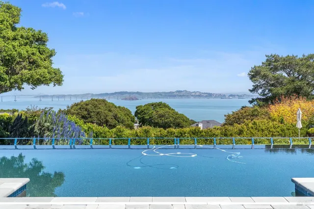a view of a garden with plants and large trees