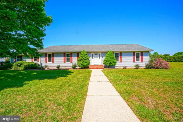 a front view of a house with yard and green space