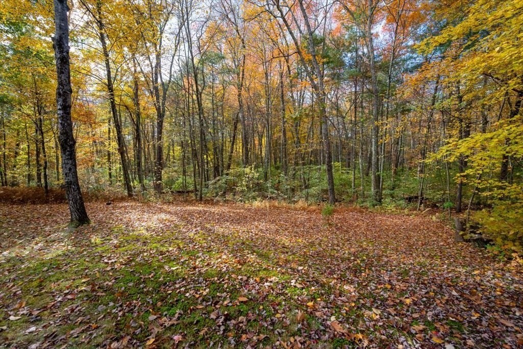 2172 Greenwich Road Hardwick, MA 01082 - Photo 39 of 42 a view of outdoor space and tree