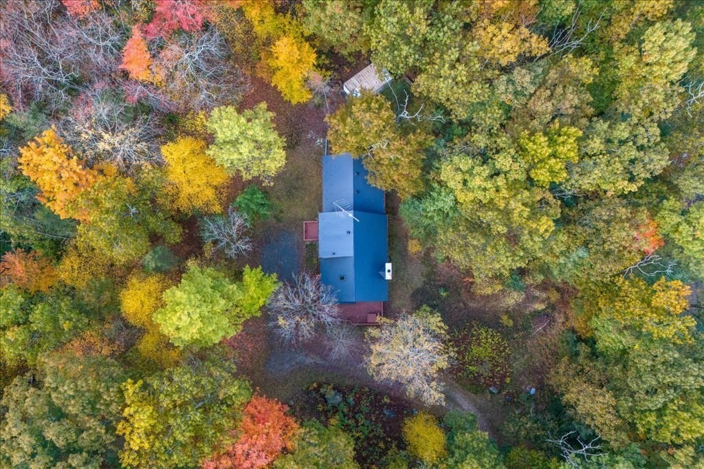 2172 Greenwich Road Hardwick, MA 01082 - Photo 41 of 42 a yard with a tree