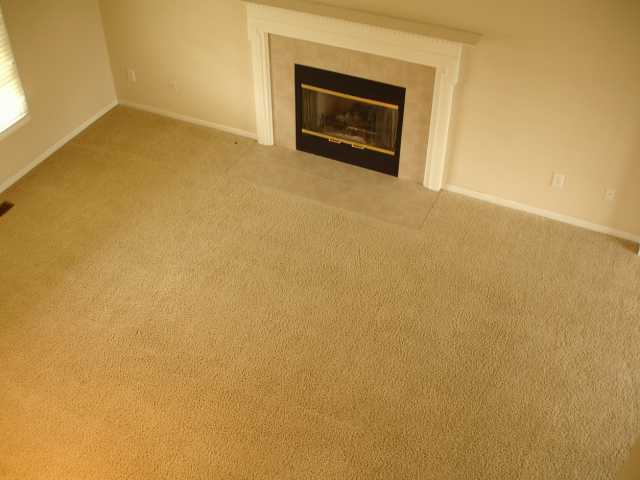 488 Cricket Run Road Lewis Center, OH 43035 - Photo 2 of 10