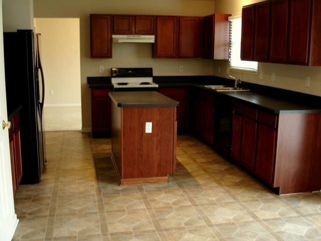 488 Cricket Run Road Lewis Center, OH 43035 - Photo 4 of 10