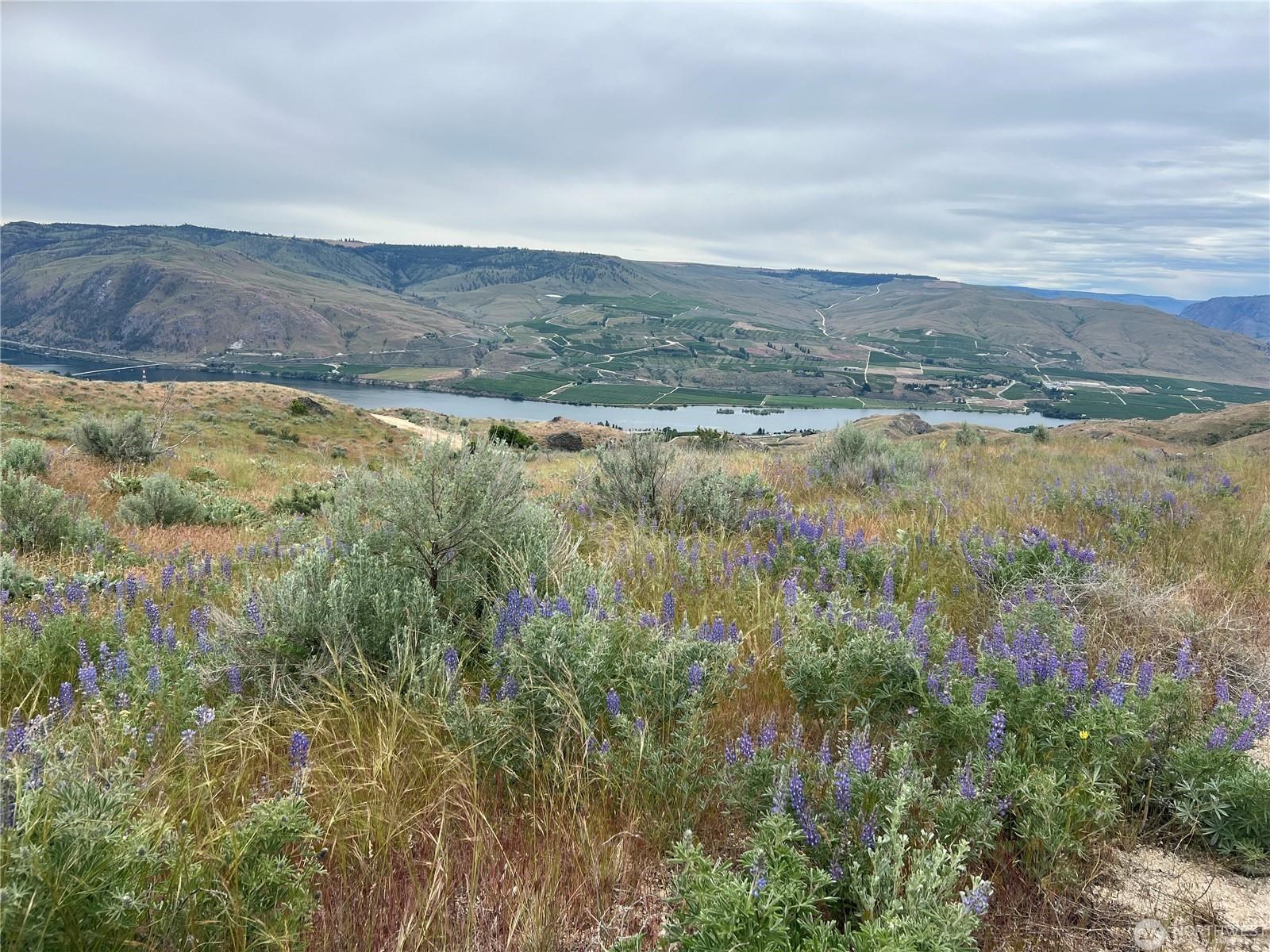 Nna Windmill Road Brewster, WA 98812 - Photo 6 of 7