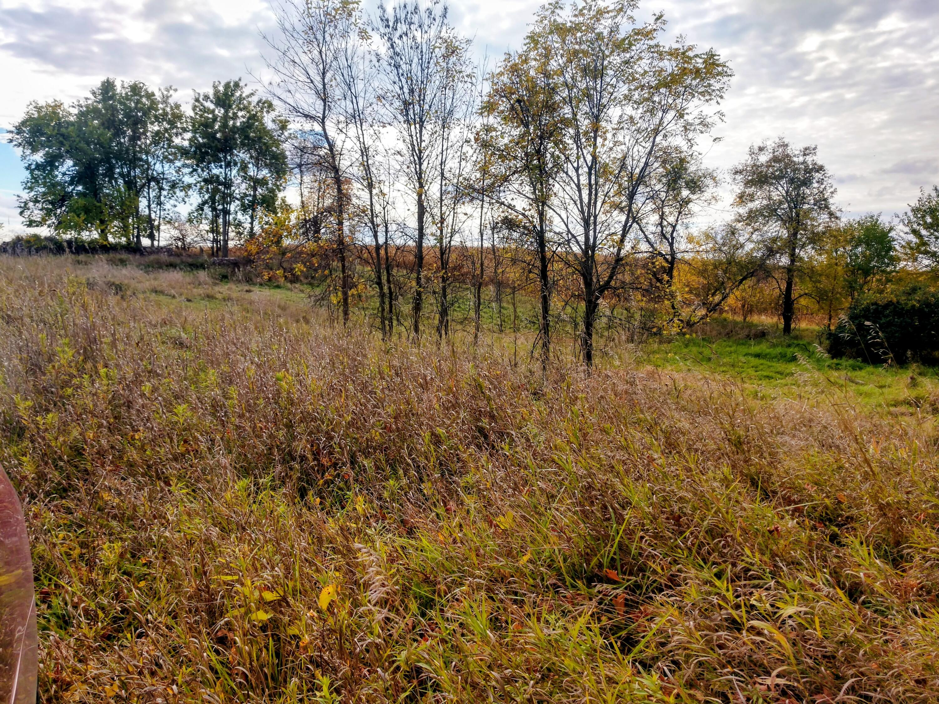 Lot 1 Condensery Road Carson City, MI 48811 - Photo 1 of 7 IMG_20251013_155455653_HDR~2