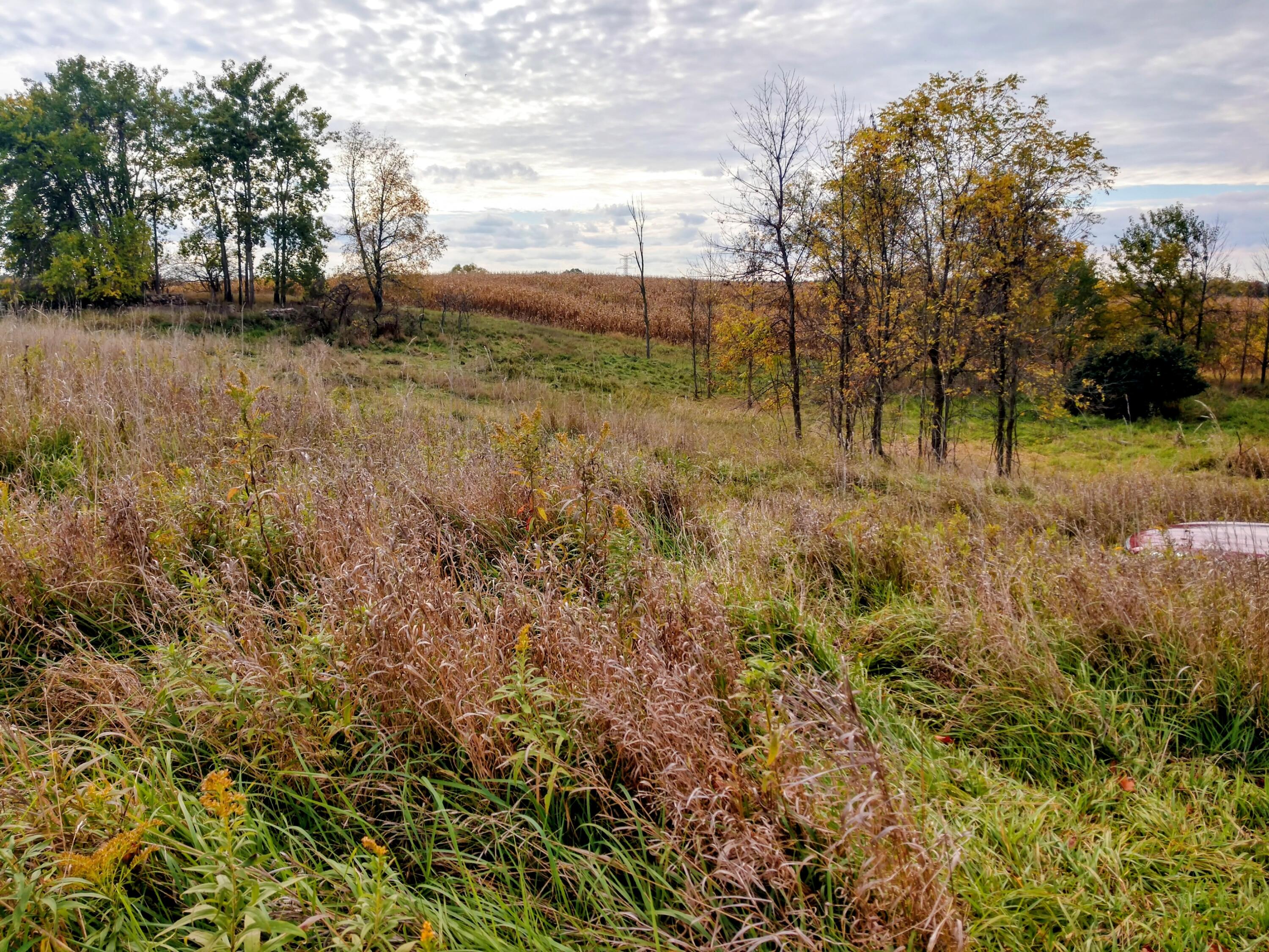 Lot 1 Condensery Road Carson City, MI 48811 - Photo 5 of 7 IMG_20251013_160414400_HDR~2