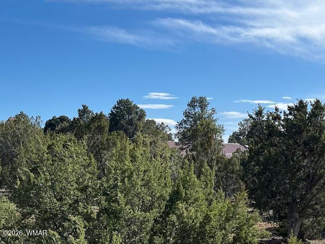 2277 Sunrise Road Overgaard, AZ 85933 - Photo 2 of 6