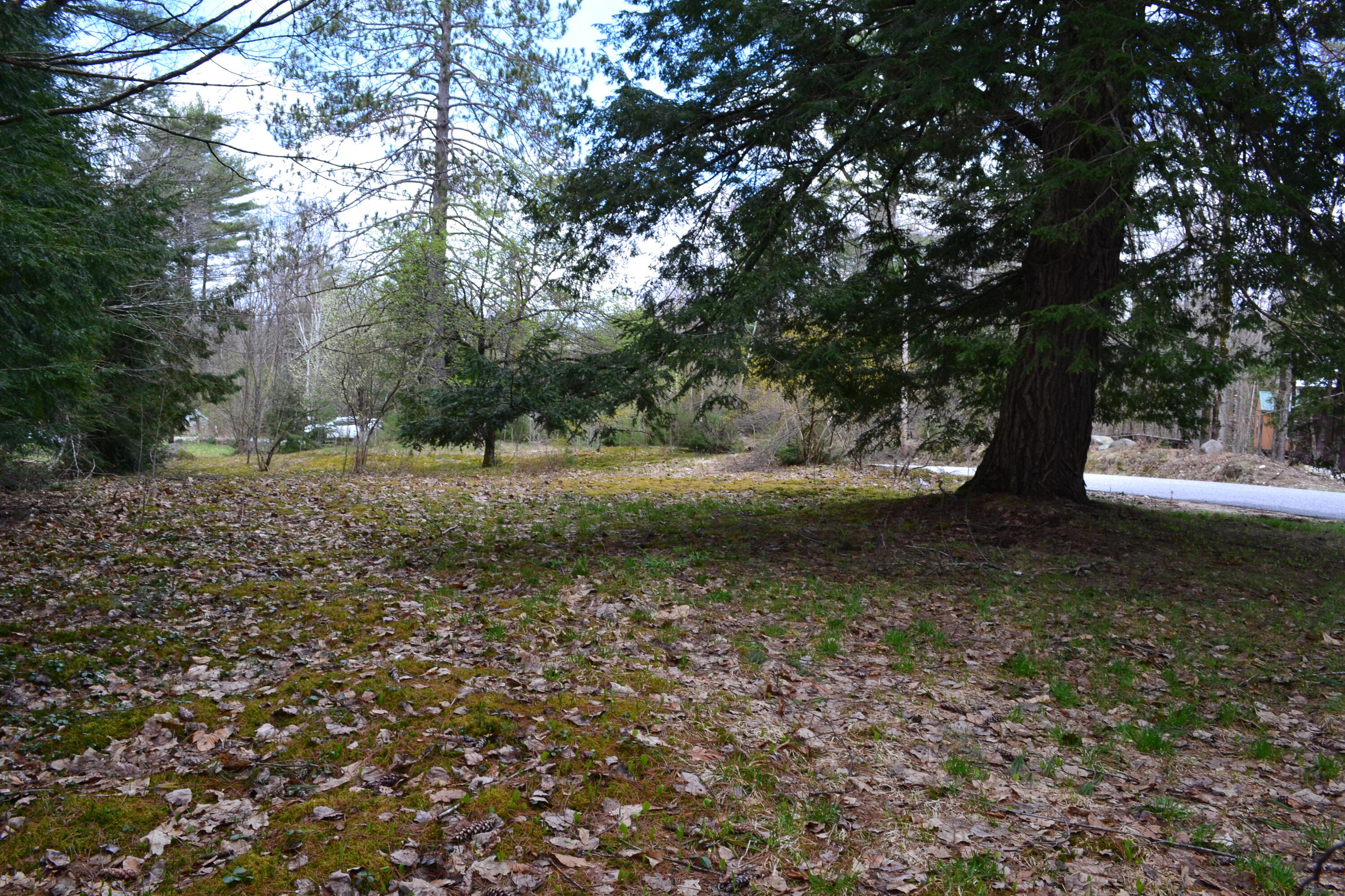 Lot 10 Howe Hill Road Greenwood, ME 04255 - Photo 9 of 14 DSC_0045