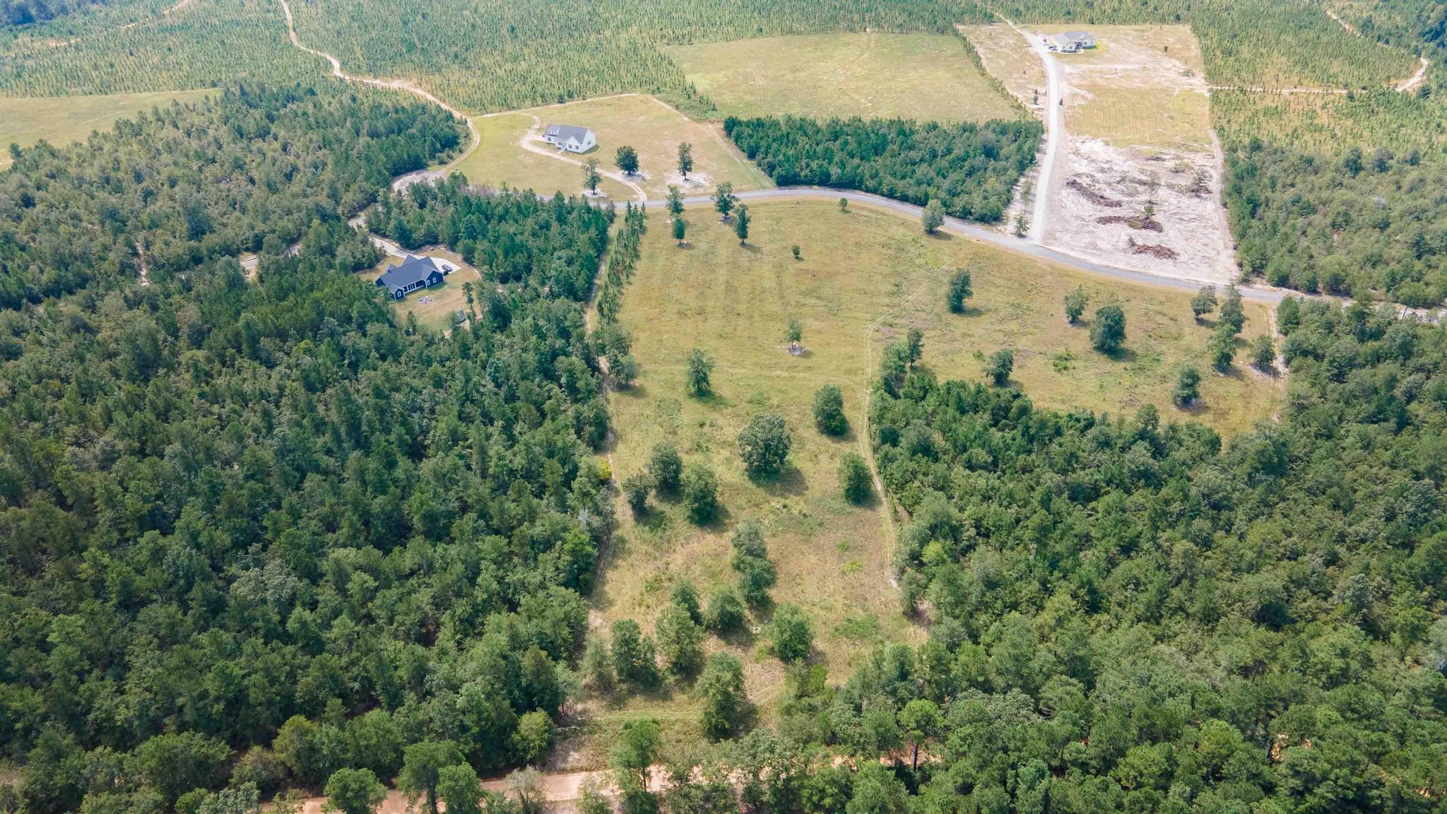 0 Cooks Pond Road Windsor, SC 29856 - Photo 8 of 15 DJI_0417